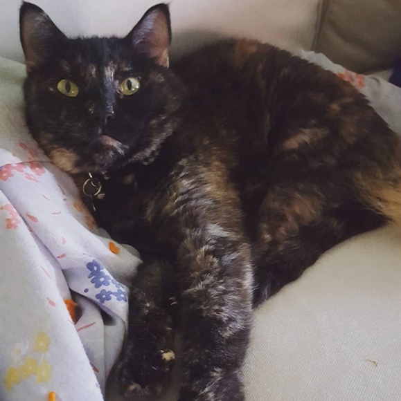 Meet your Posher, Amanda - Picture 2 of 5